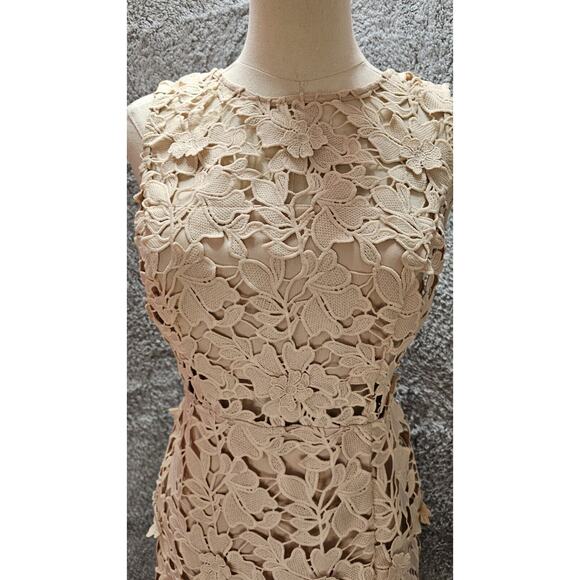 FOREVER 21 Cream Nude Emb Lace Overlay Taupe Bodycon Midi Dress SEE~ Sz Med 6 8 - Picture 3 of 5